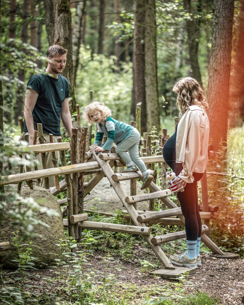 Eingang zum Waldparcour im Trixi Park