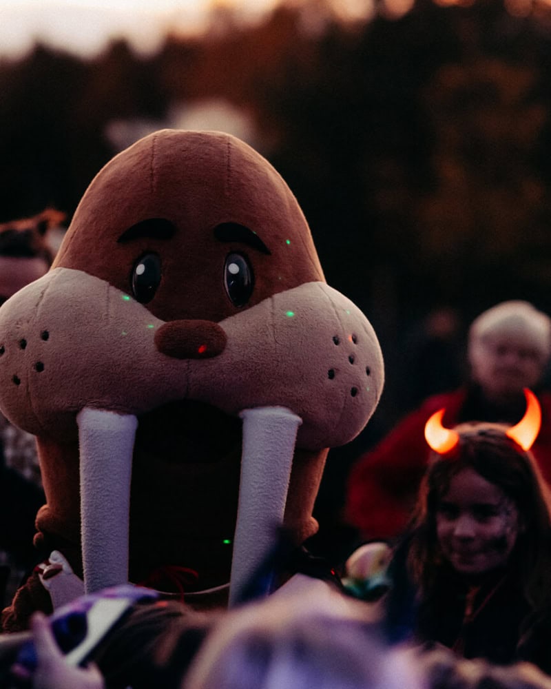 Maskottchen Trixi bei der Kinderisco im Trixi Park Zittauer Gebirge