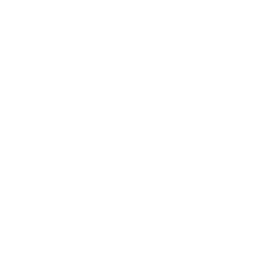 geburtstag trixi park icon