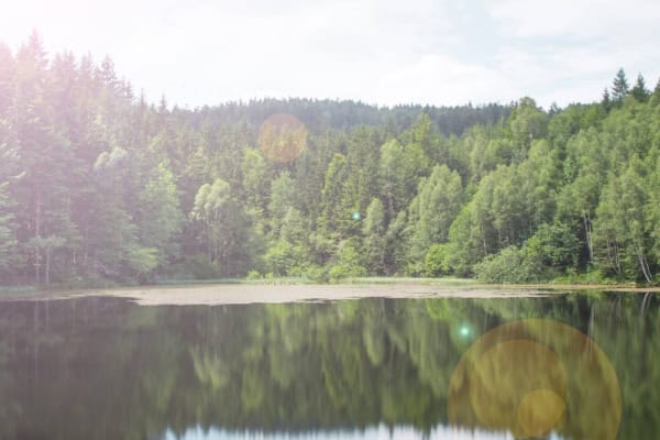 Hammertalsperre im Lausitzer Gebirge auf der tschechischen Seite der Lausche