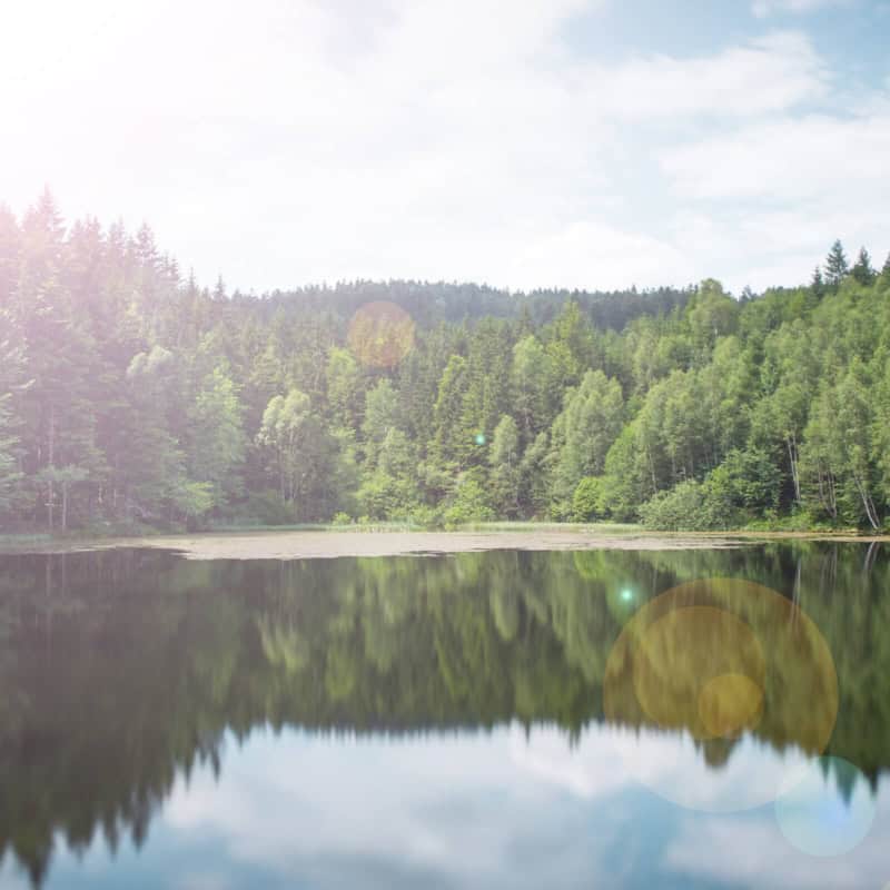 hammertalsperre-tschechien-trixi-park-zittauer-gebirge Hammertalsperre im Lausitzer Gebirge auf der tschechischen Seite der Lausche