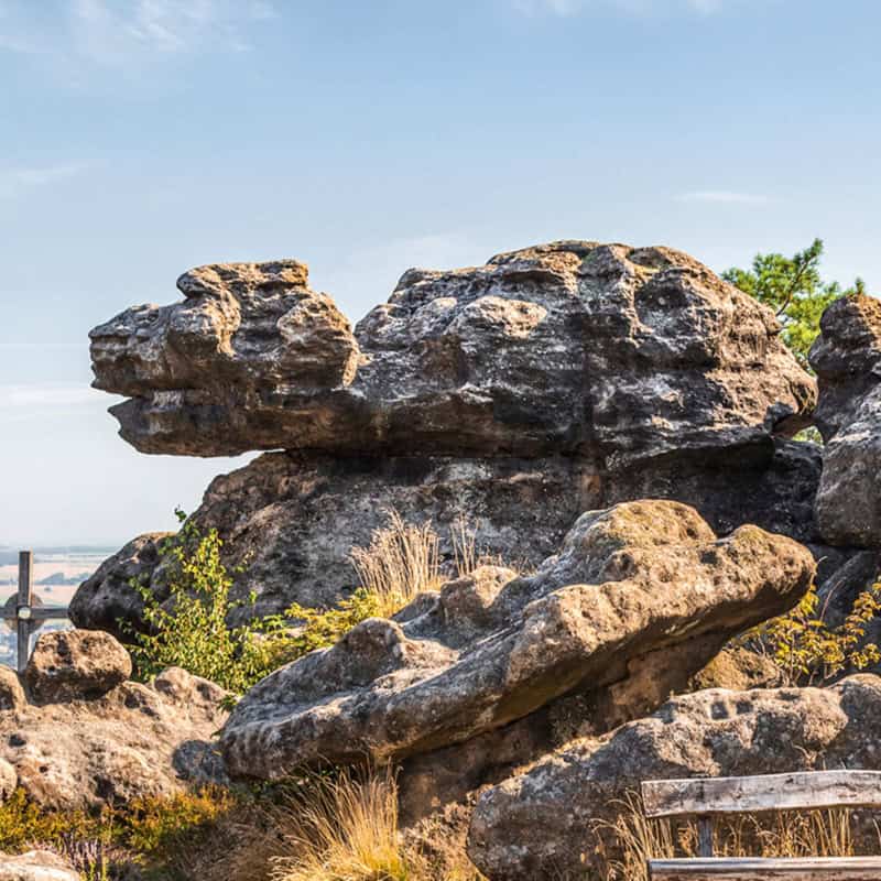 steinzoo-zittauer-gebirge-oberlausitz steinzoo Schildkröte im zittauer gebirge