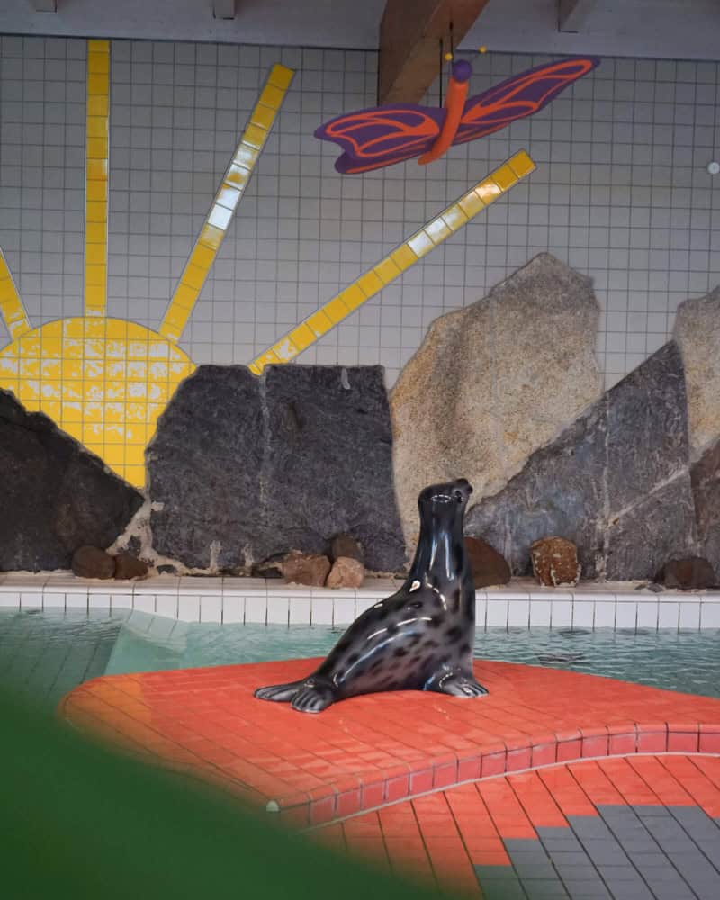 trixi bad, kinderbecken, freizeitbad, badehalle, trixi park, zittauer gebirge