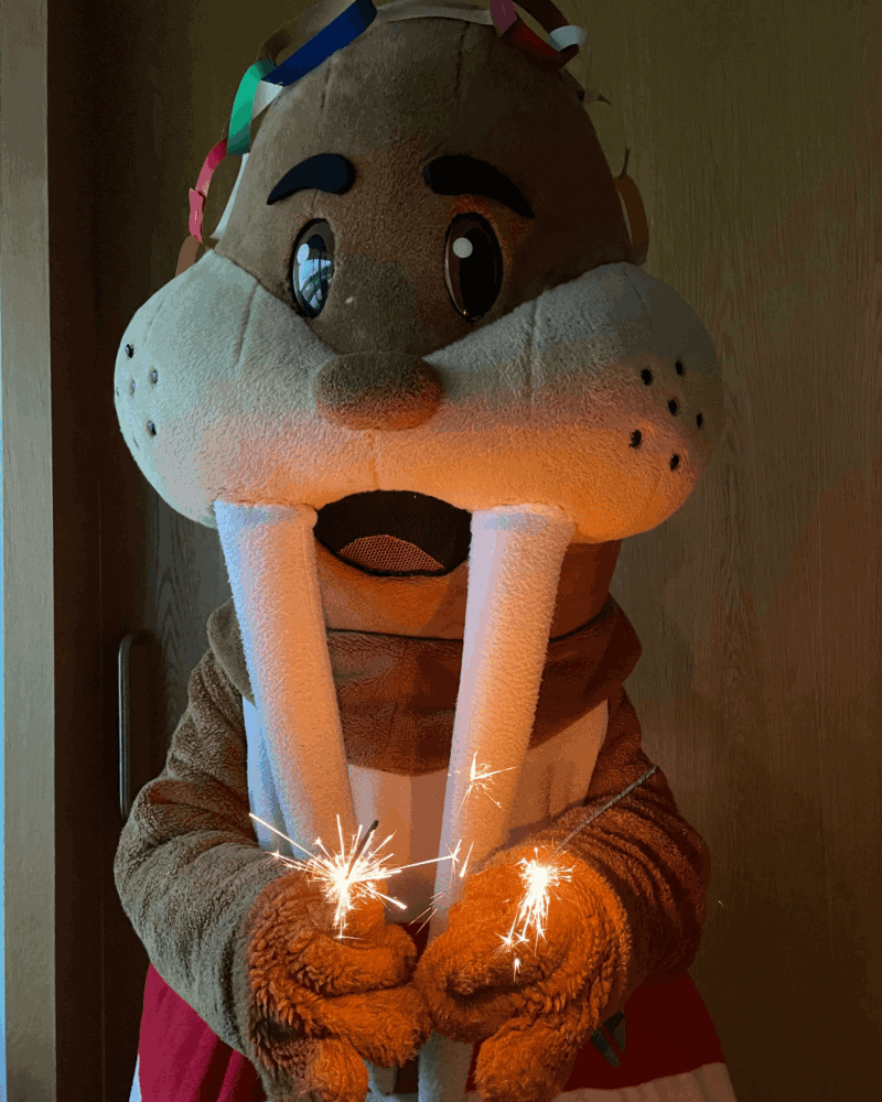 Trixi Silvester Wunderkerzen