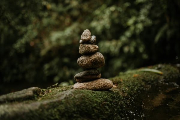 cezar-sampaio-0JdDuFBVJ1o-unsplash