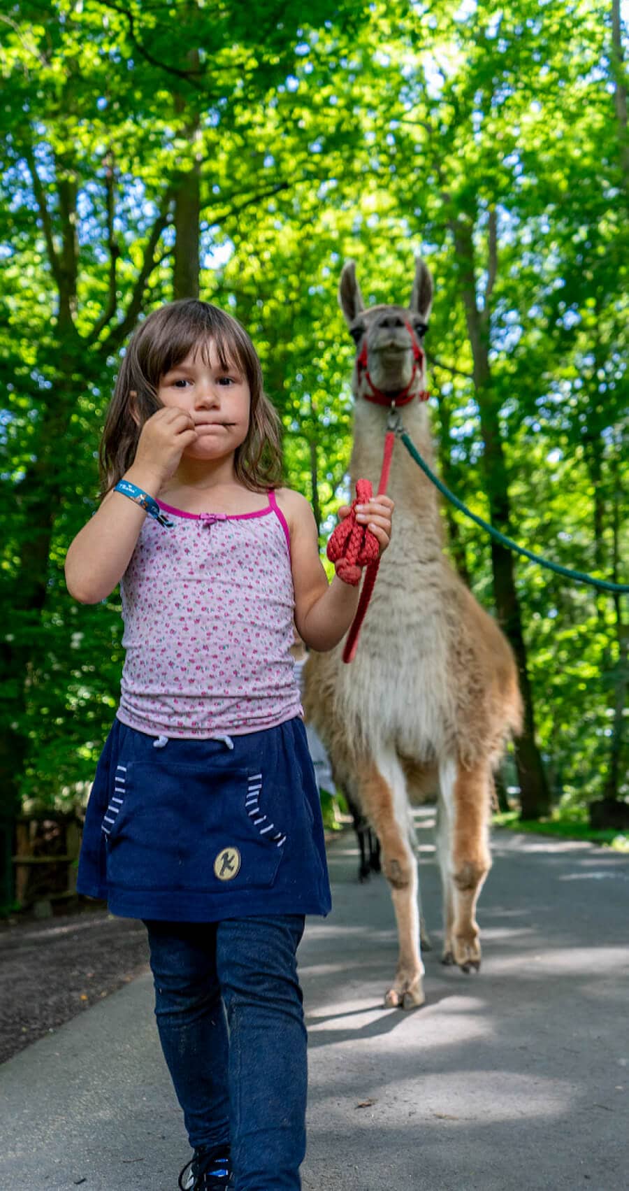 tierpark-zittau-mobil
